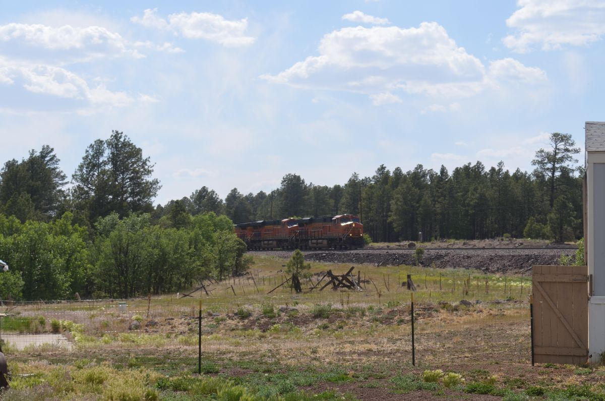 166 Garland Prairie Road Parks, AZ 86005 - Photo 11 of 19 chris 006