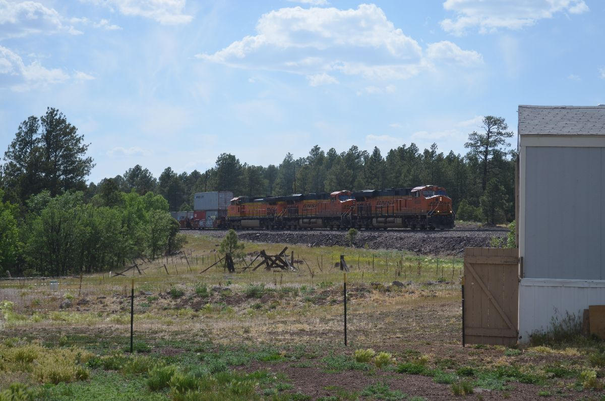 166 Garland Prairie Road Parks, AZ 86005 - Photo 12 of 19 chris 007
