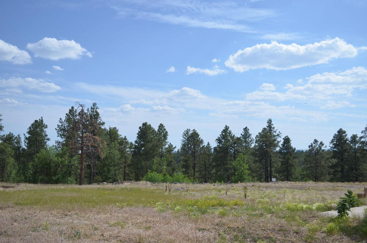 166 Garland Prairie Road Parks, AZ 86005 - Photo 14 of 19 chris 013