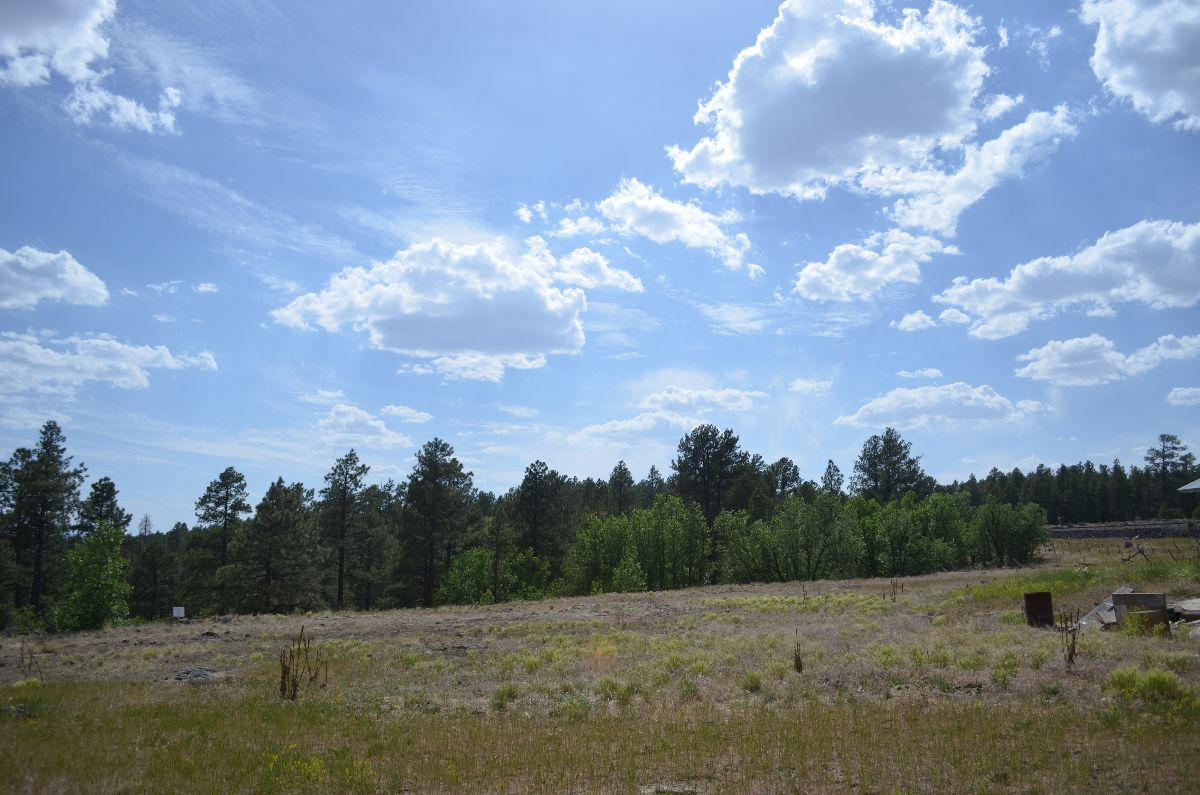 166 Garland Prairie Road Parks, AZ 86005 - Photo 15 of 19 chris 016