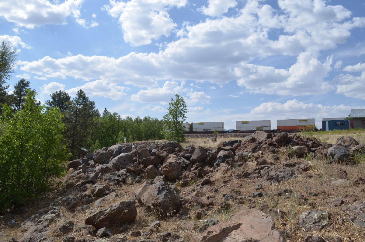 166 Garland Prairie Road Parks, AZ 86005 - Photo 17 of 19 chris 019