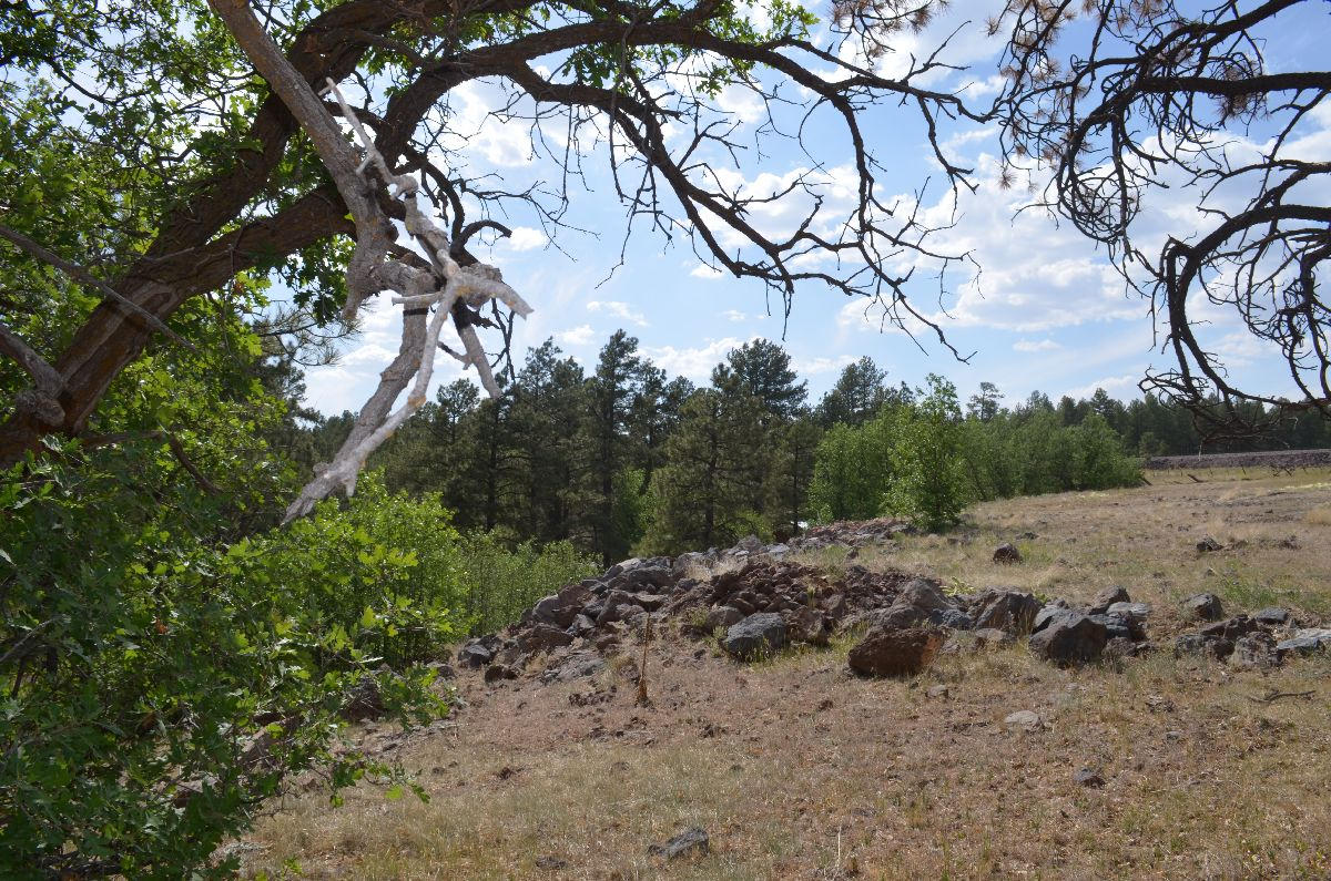 166 Garland Prairie Road Parks, AZ 86005 - Photo 19 of 19 chris 023
