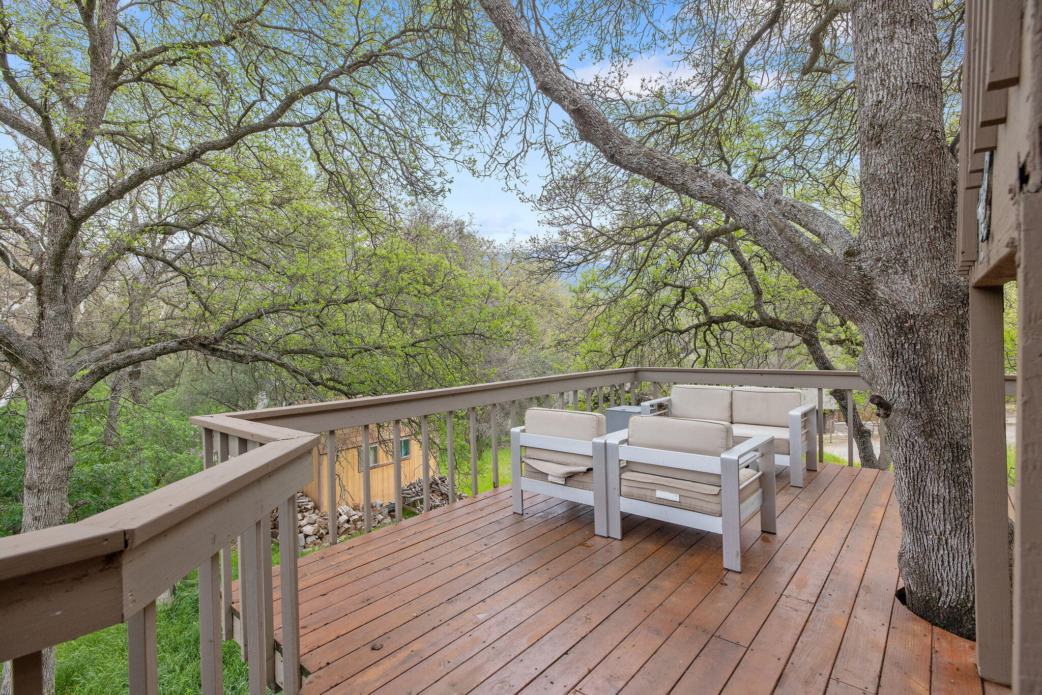 43677 Washburn Drive Three Rivers, CA 93271 - Photo 9 of 80 71-web-or-mls-713A9641