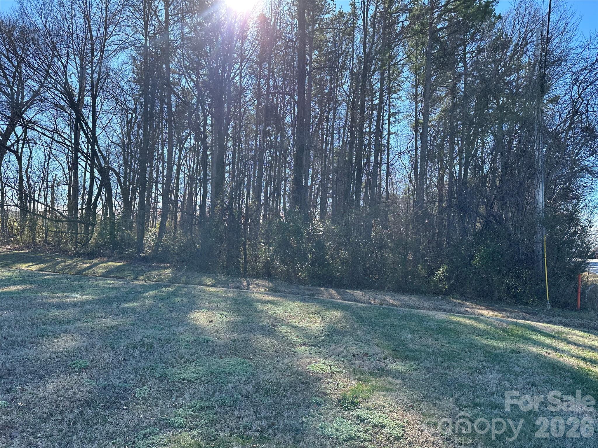0 South Main Street Salisbury, NC 28147 - Photo 11 of 31 a view of a yard with trees