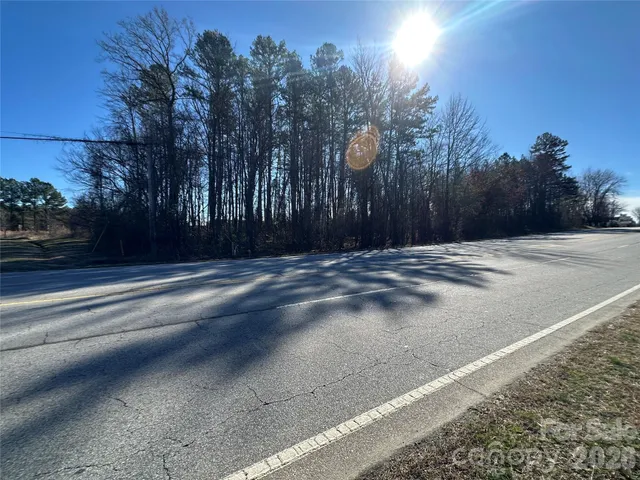 a view of a yard with plants and trees