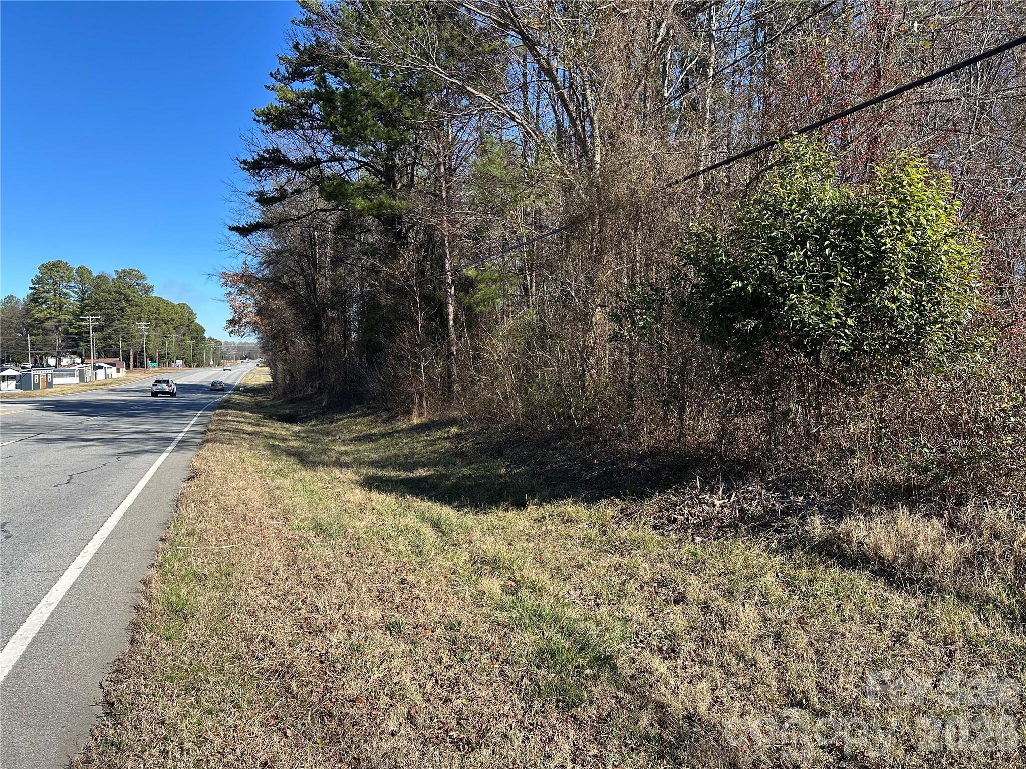 0 South Main Street Salisbury, NC 28147 - Photo 16 of 31 a view of a yard with plants and trees