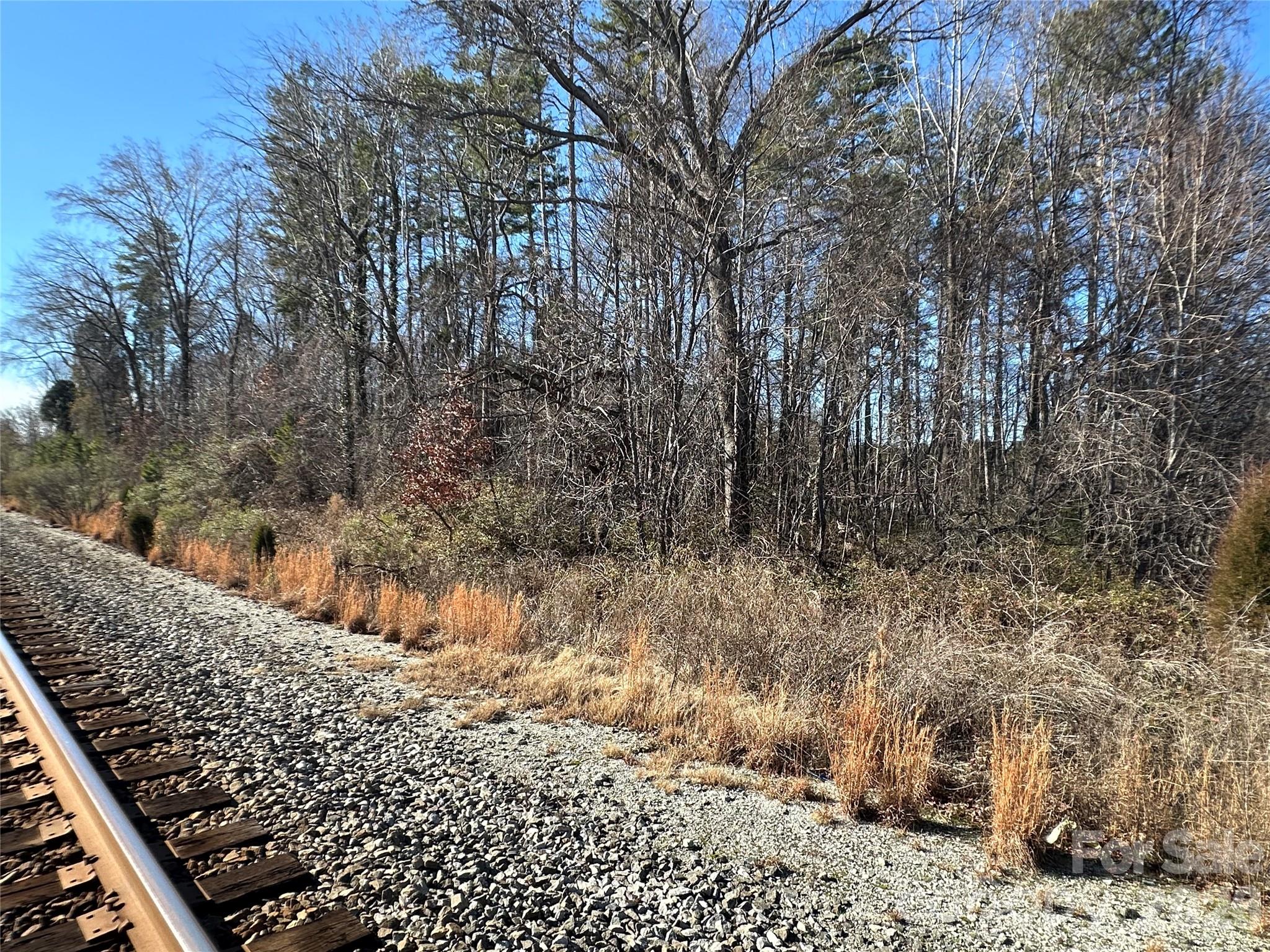 0 South Main Street Salisbury, NC 28147 - Photo 17 of 31 a view of a yard with plants and trees