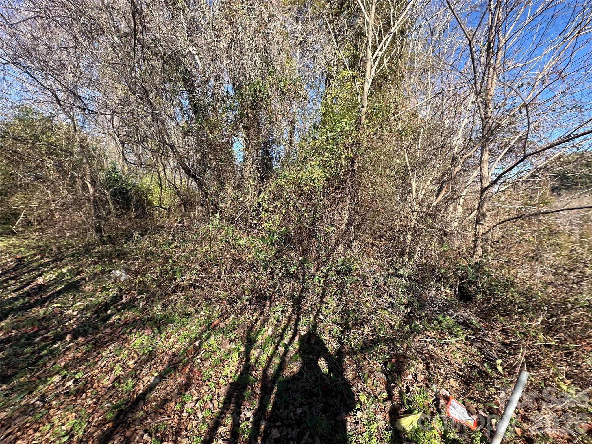 0 South Main Street Salisbury, NC 28147 - Photo 26 of 31 a view of a yard with a tree