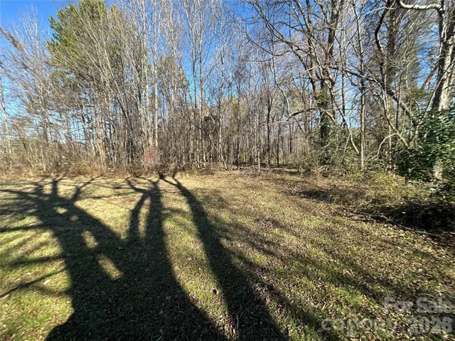 a view of a yard with trees