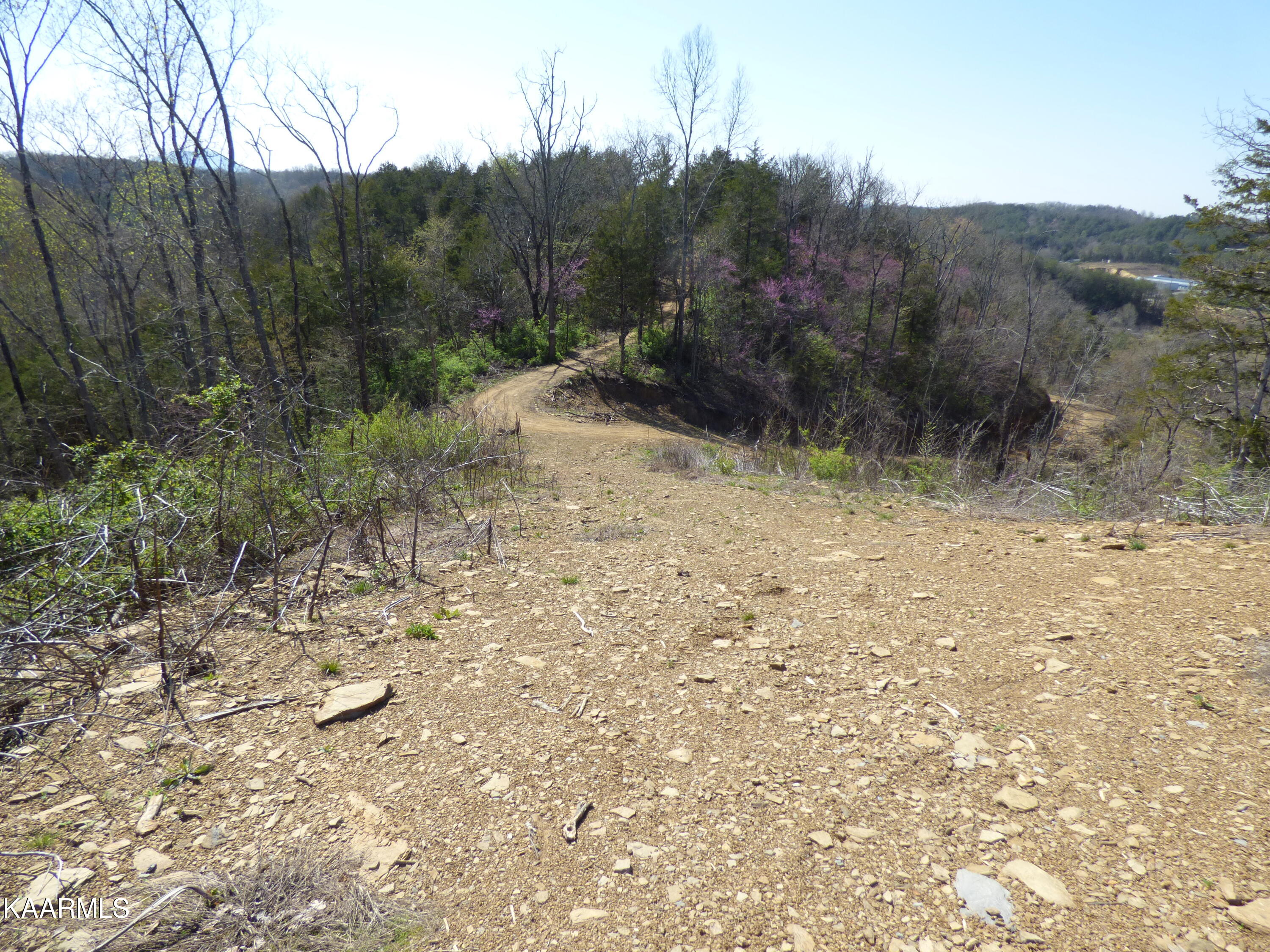 Lot 3 Parton Hollow Road Sevierville, TN 37876 - Photo 12 of 13 P1270124