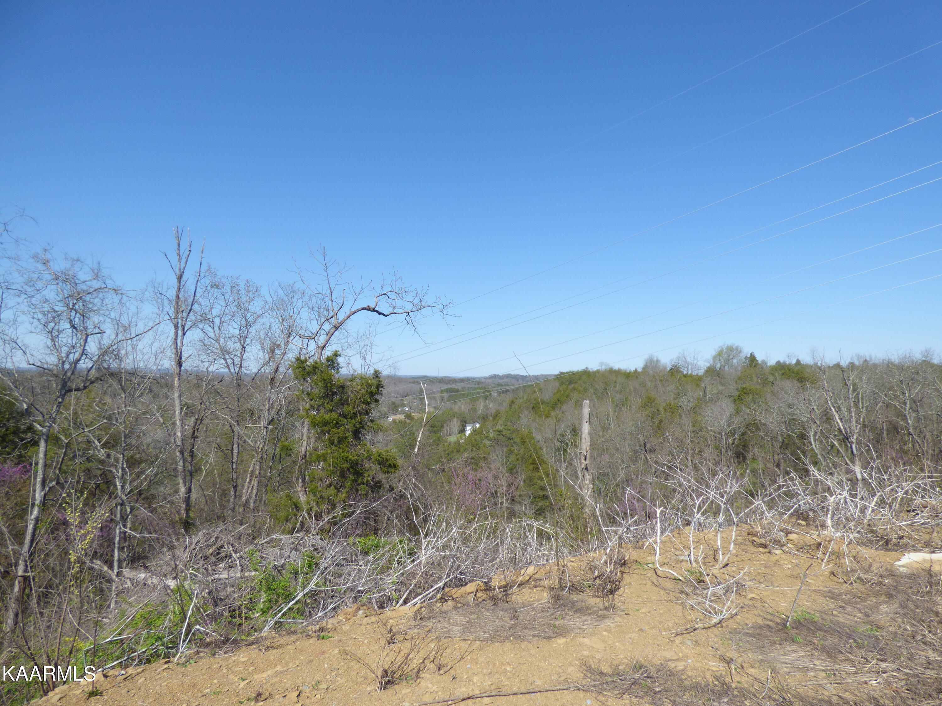Lot 3 Parton Hollow Road Sevierville, TN 37876 - Photo 4 of 13 P1270116