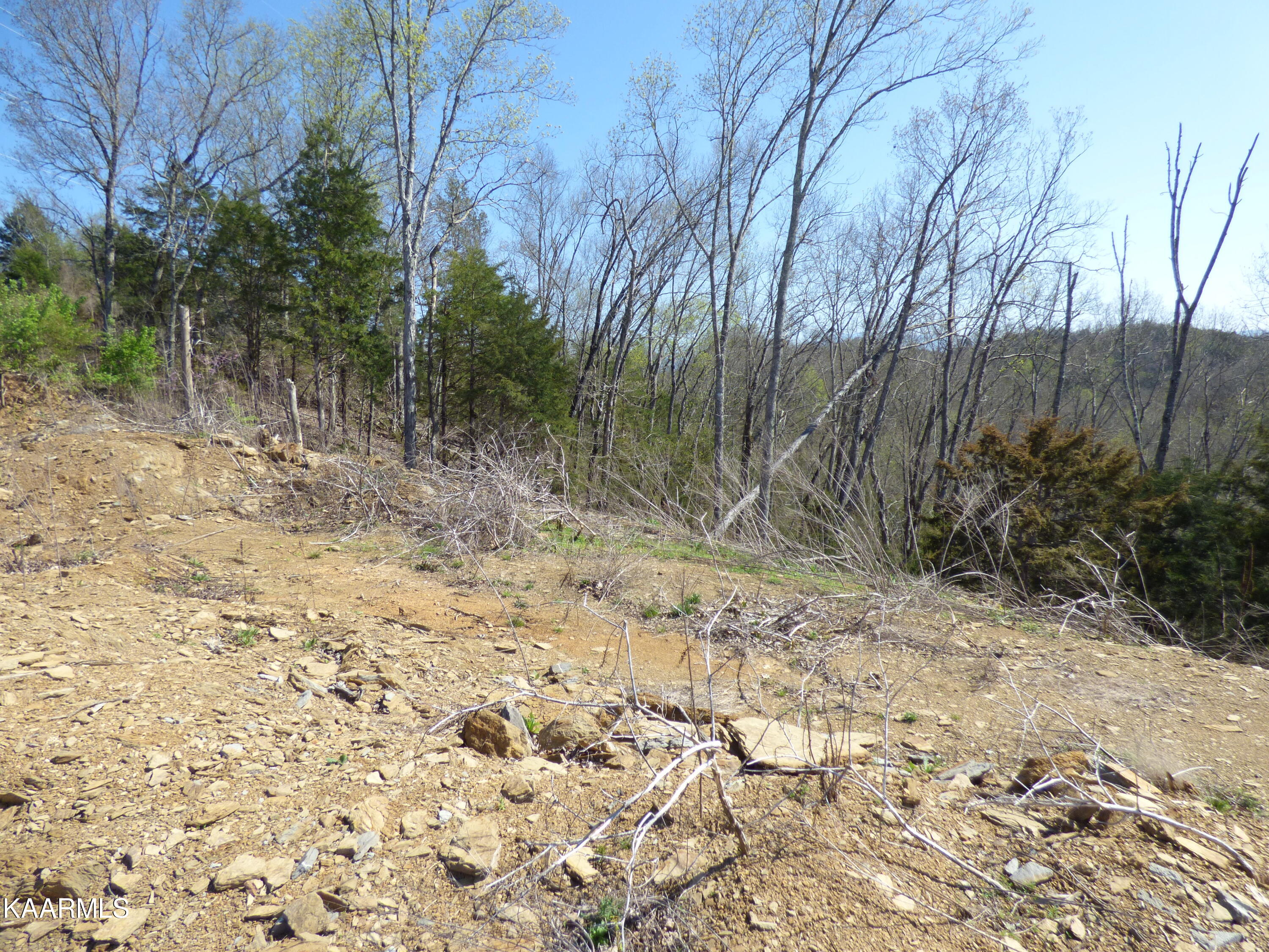 Lot 3 Parton Hollow Road Sevierville, TN 37876 - Photo 10 of 13 P1270122