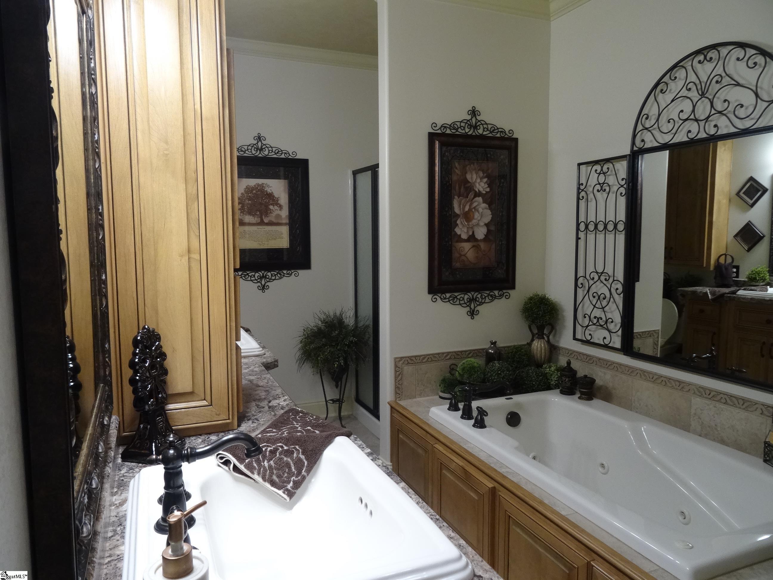1170 Old Dacusville Road Easley, SC 29640 - Photo 16 of 35 jetted tub - shower separate