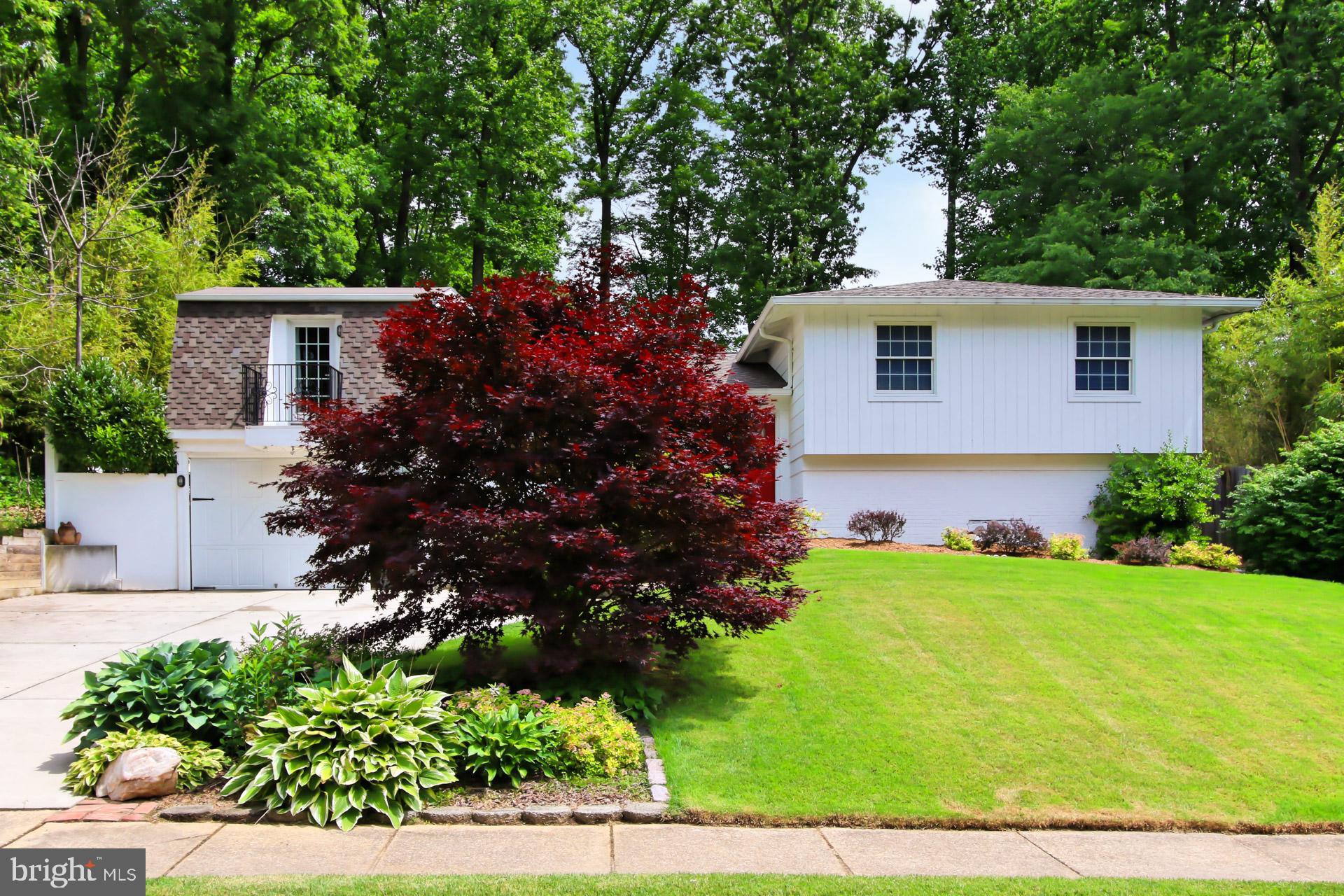 6305 Gormley Place Springfield, VA 22152 - Photo 3 of 66 Lots of beautiful trees and plantings