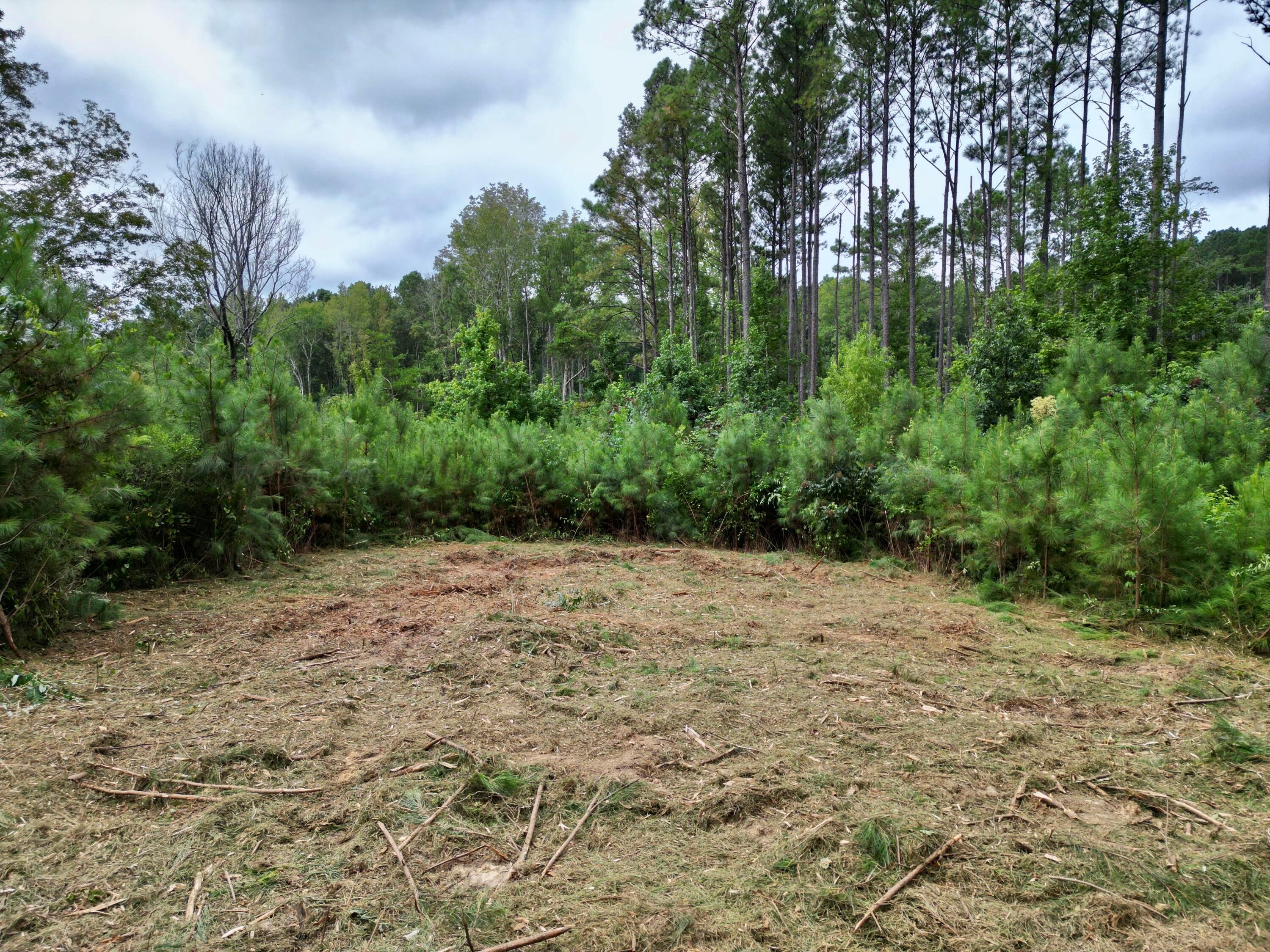 1 Homestead Road Eldridge, AL 35554 - Photo 15 of 15 dji_fly_20250808_184332_724_175475480544