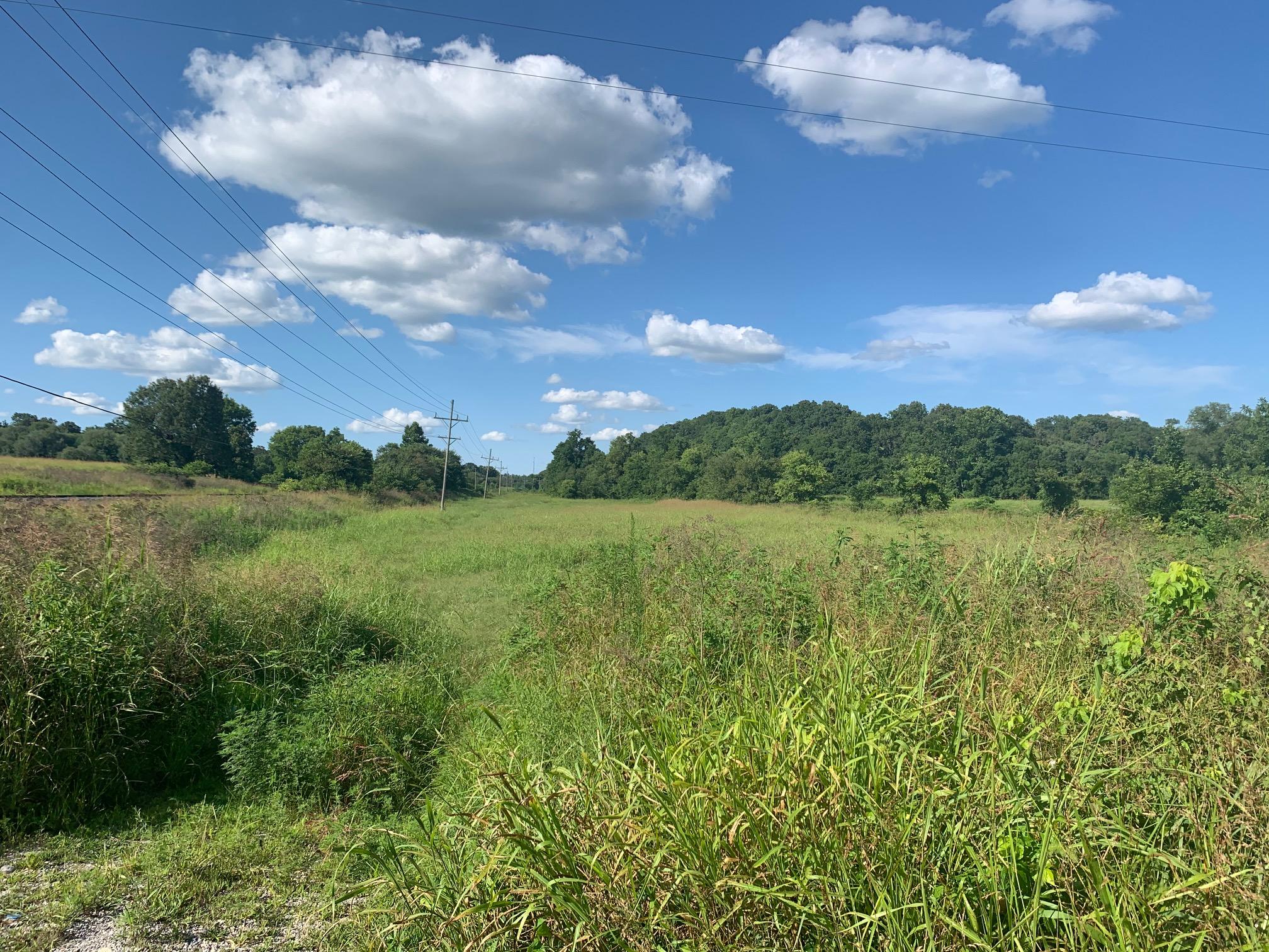 0 Splitlog Road Goodman, MO 64843 - Photo 1 of 1 IMG_2947