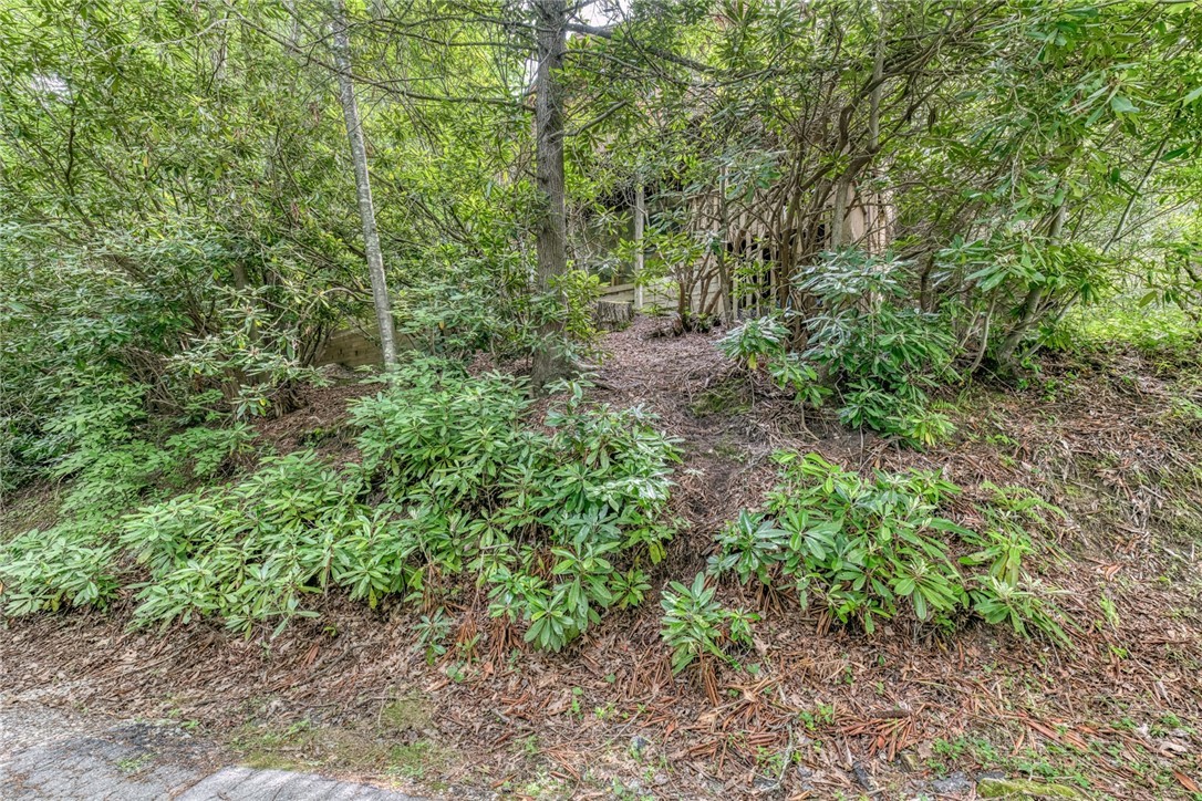 392 Locust Road Newland, NC 28657 - Photo 43 of 43