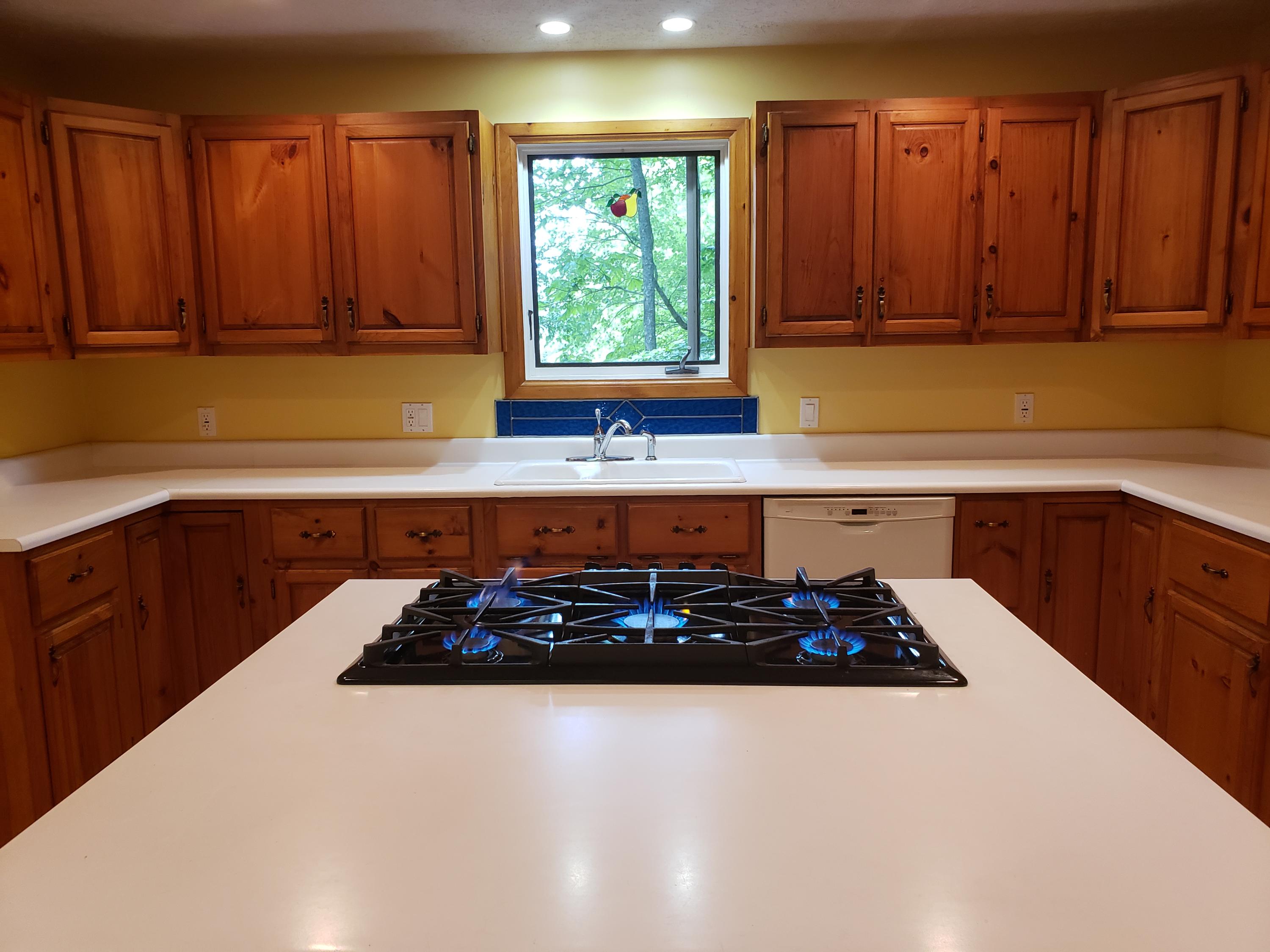 812 Reece Hill Road Mountain City, TN 37683 - Photo 14 of 58 20210627_131556 (1)