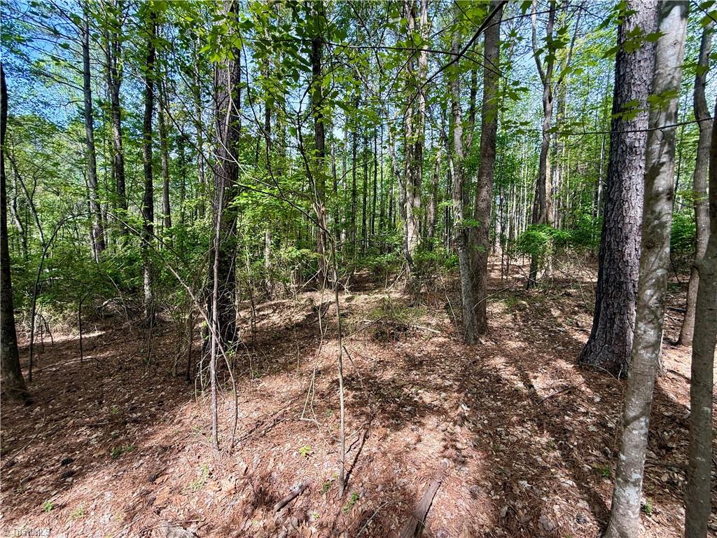 161 Greens Road Granite Falls, NC 28630 - Photo 16 of 38
