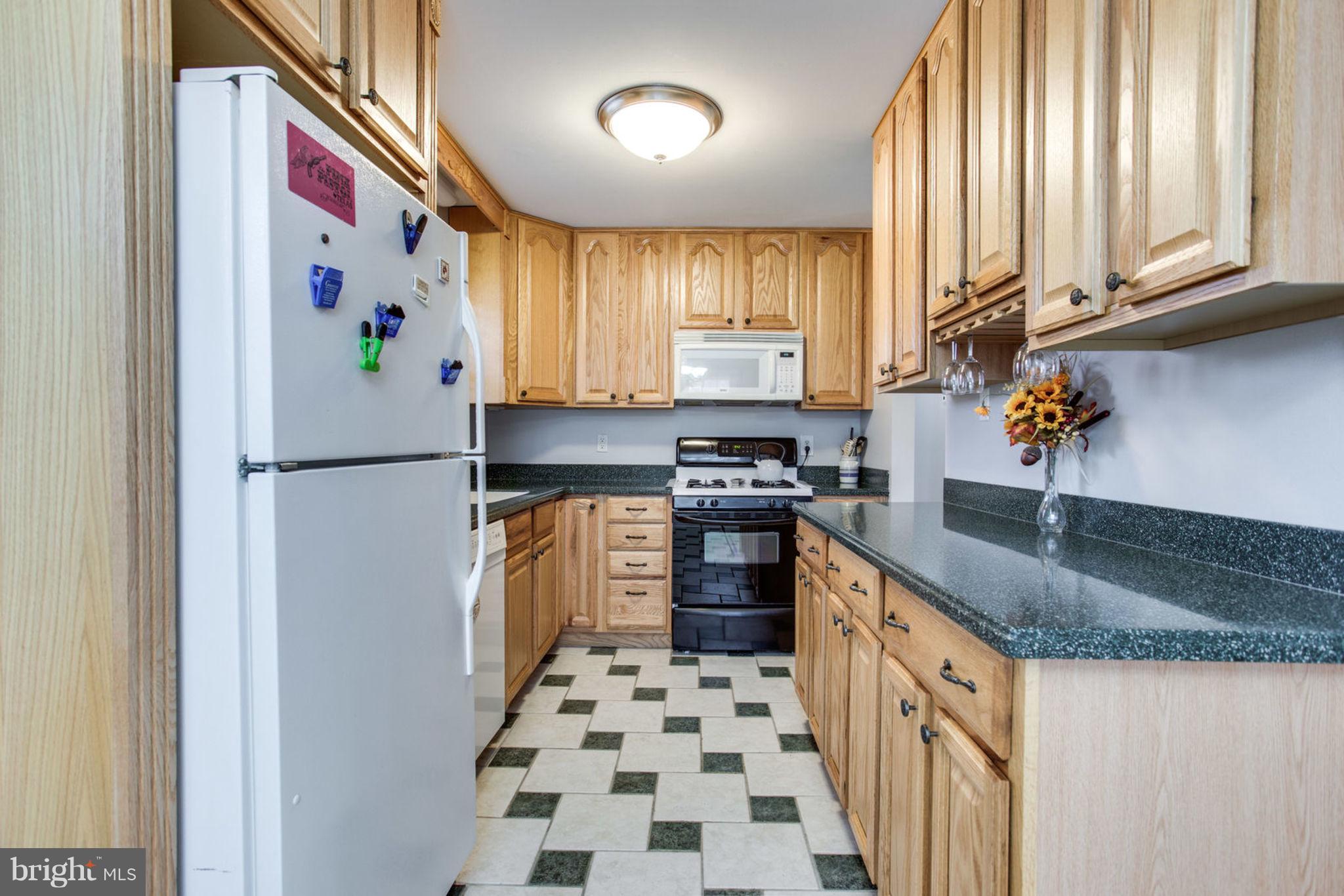 1625 Thomas Drive Point of Rocks, MD 21777 - Photo 16 of 47 a kitchen with stainless steel appliances granite countertop a refrigerator and a sink