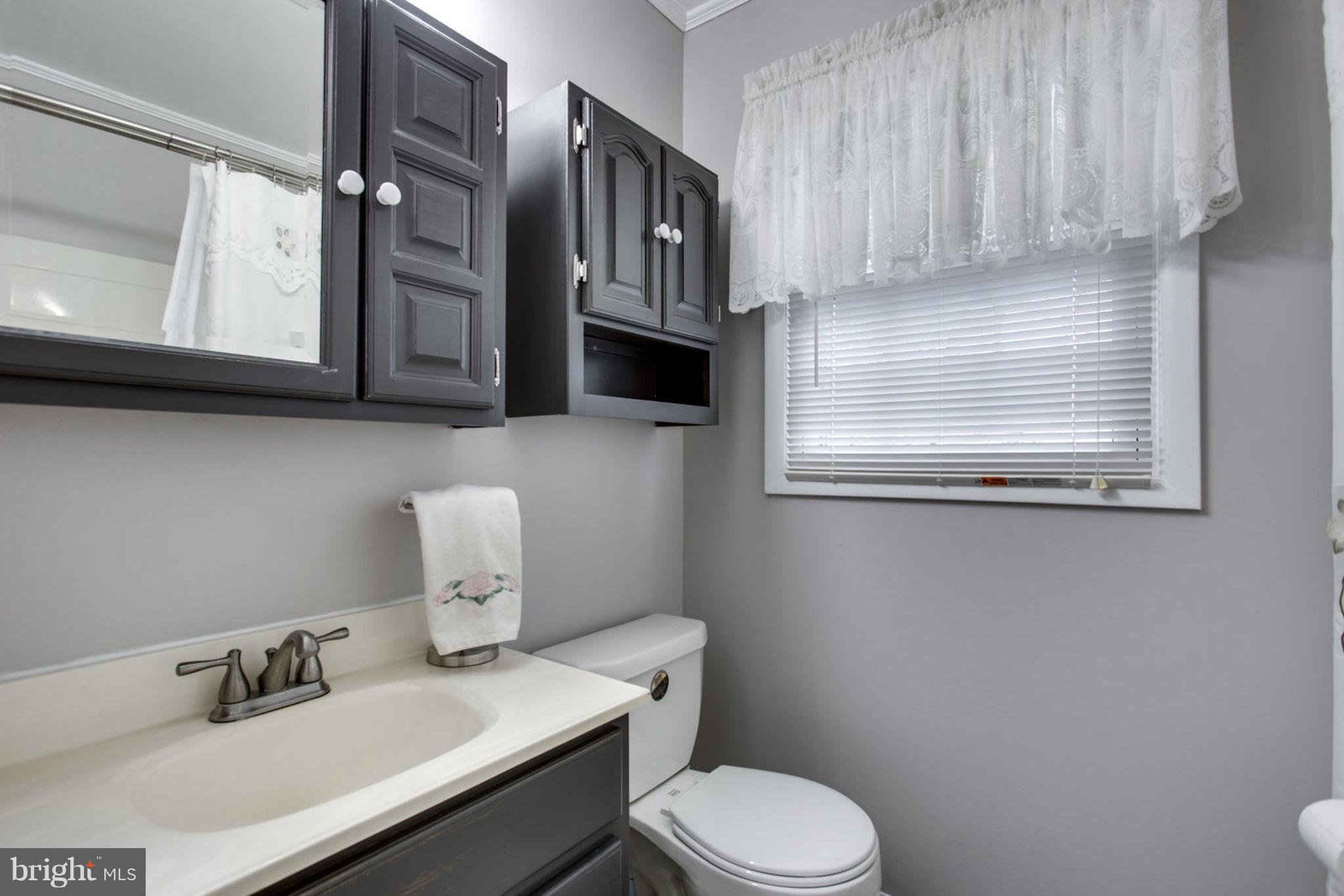 1625 Thomas Drive Point of Rocks, MD 21777 - Photo 21 of 47 a bathroom with a toilet a sink and mirror