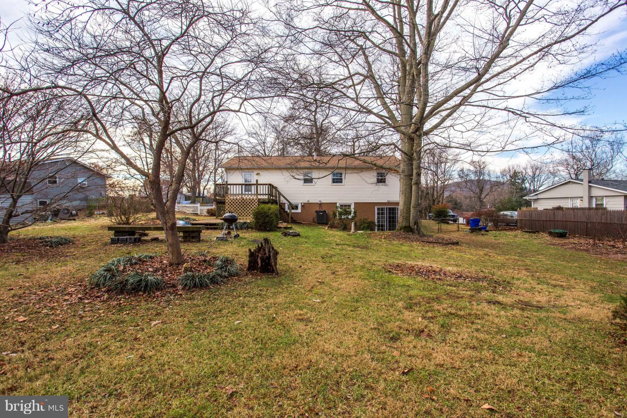 1625 Thomas Drive Point of Rocks, MD 21777 - Photo 44 of 47 a view of a yard with a large tree