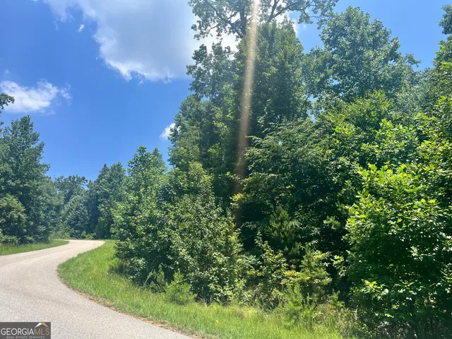a view of a garden with a tree