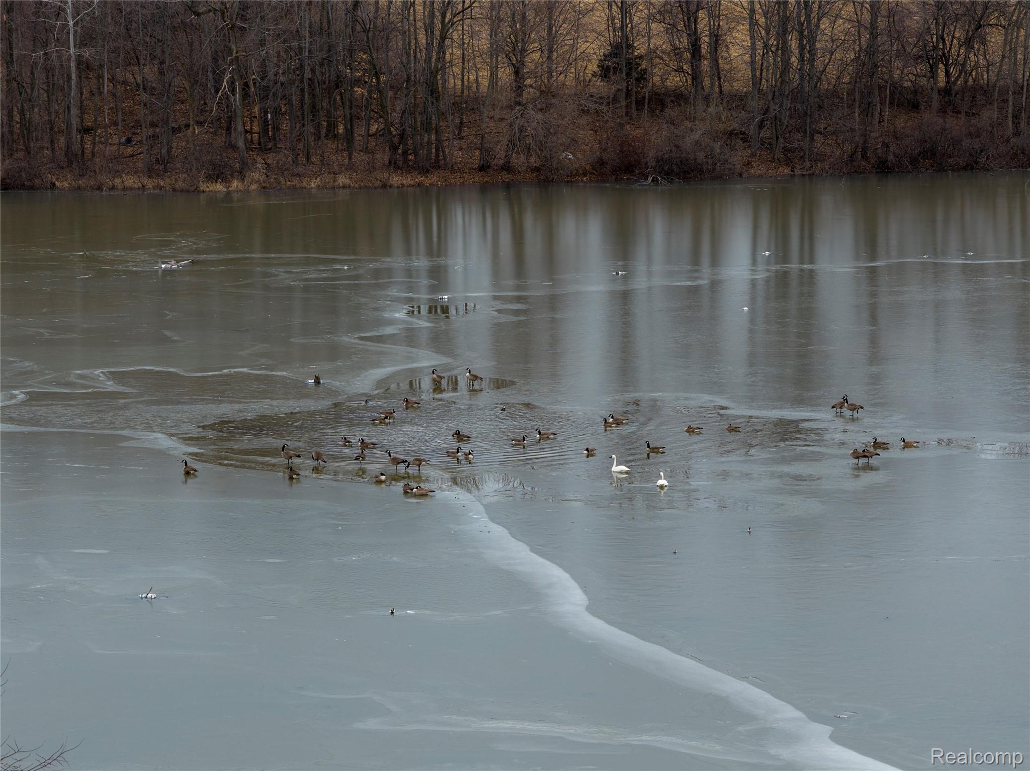 0 Shay Lake Road Kingston, MI 48741 - Photo 4 of 21 4.jpg