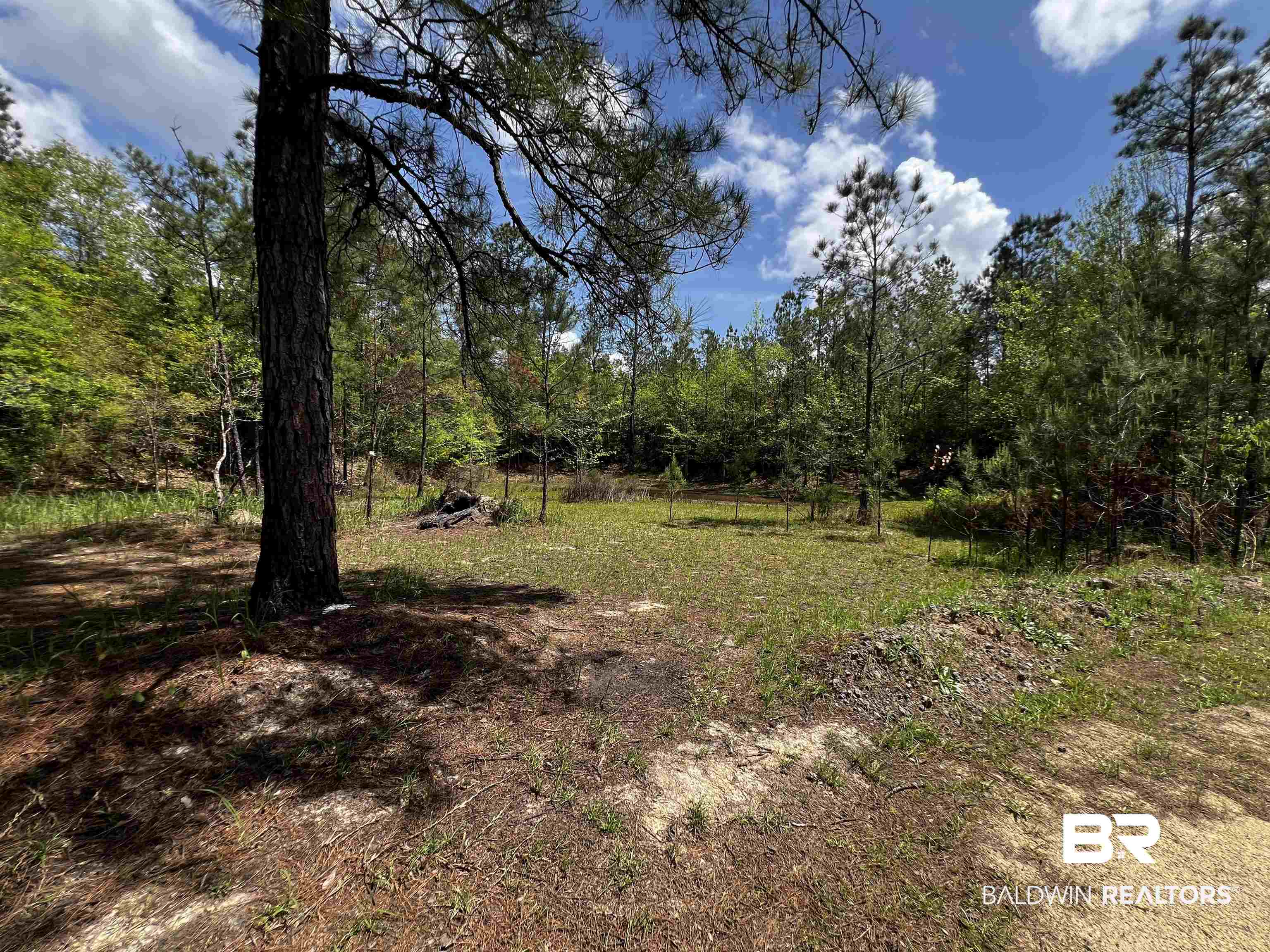 0 Salco Road Axis, AL 36505 - Photo 20 of 24 View of yard