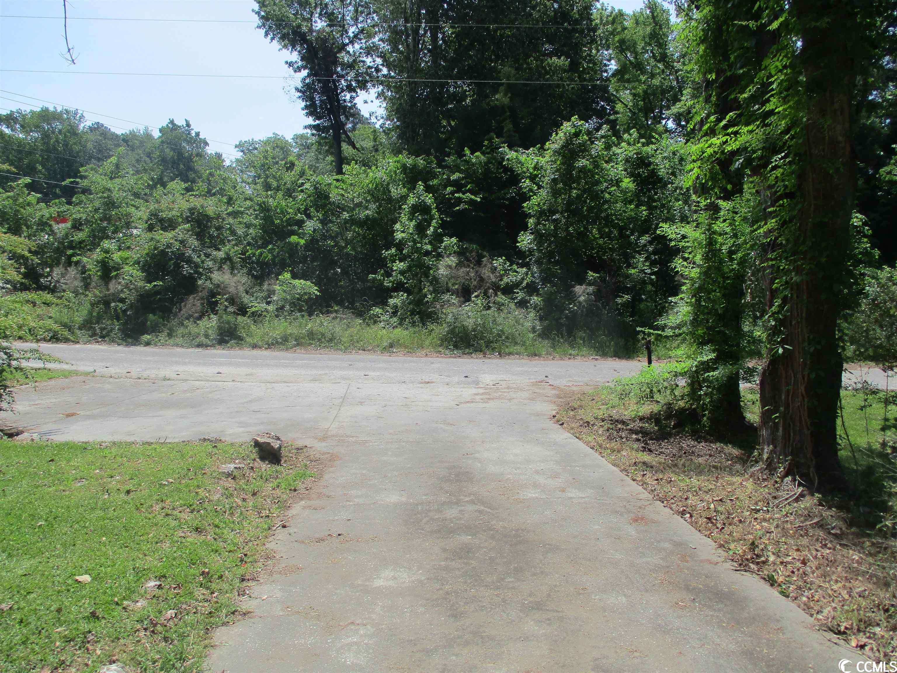 102 Forest Court Mullins, SC 29574 - Photo 4 of 28