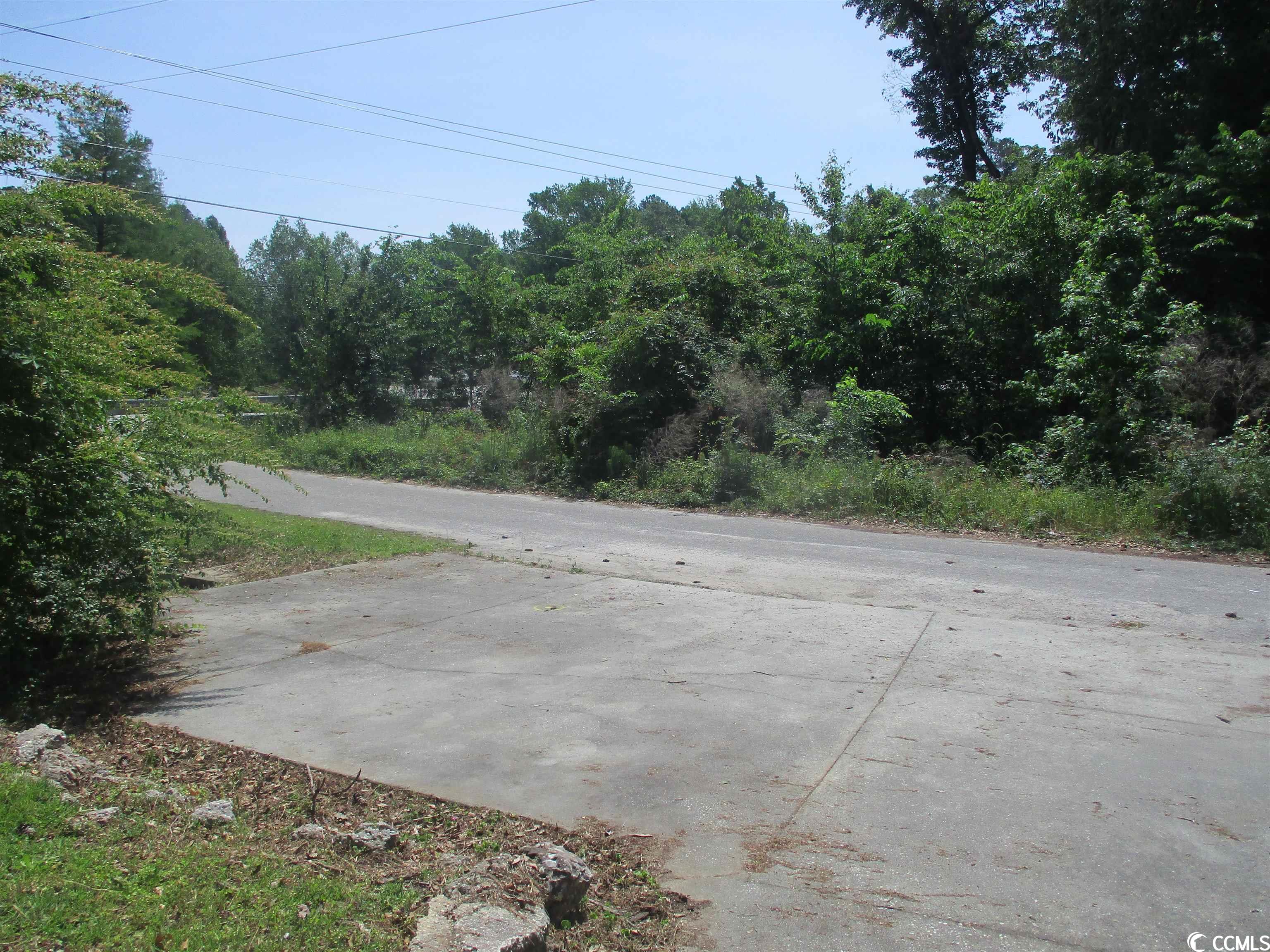 102 Forest Court Mullins, SC 29574 - Photo 5 of 28