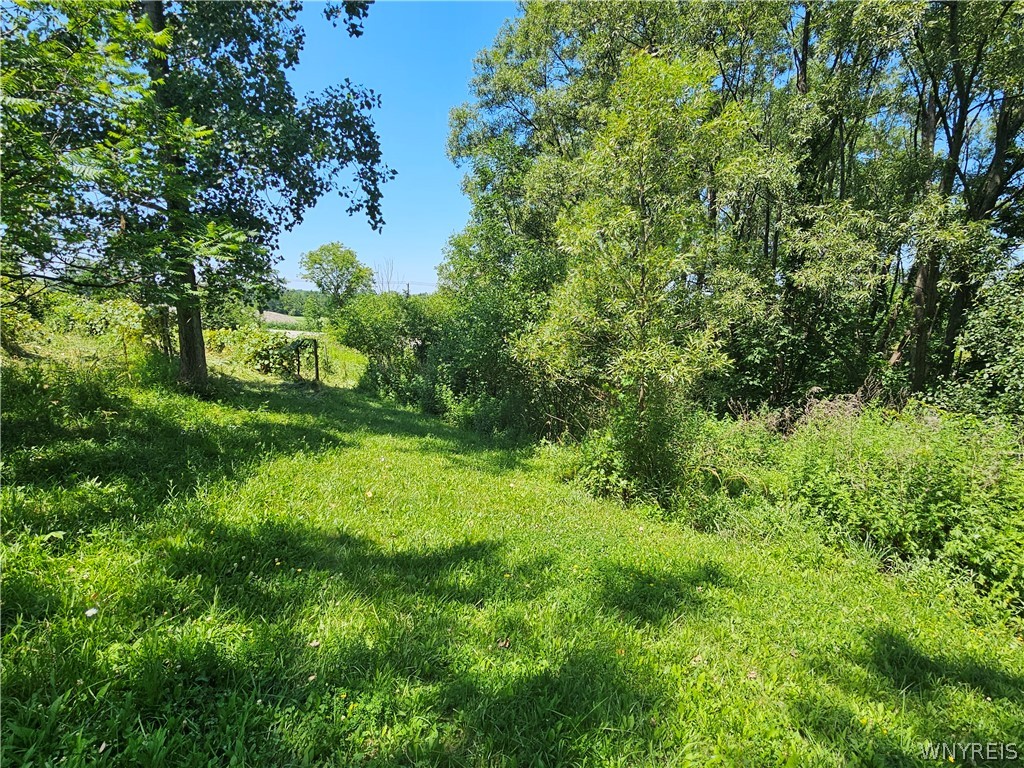 760 Northrup Road Elma, NY 14059 - Photo 18 of 48