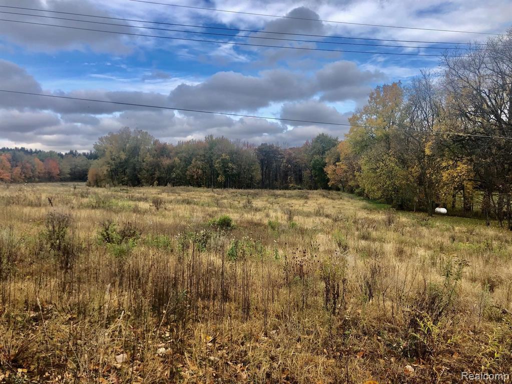 Parcel A-2 Parcel A-2 Dryden Road Metamora, MI 48455 - Photo 2 of 10