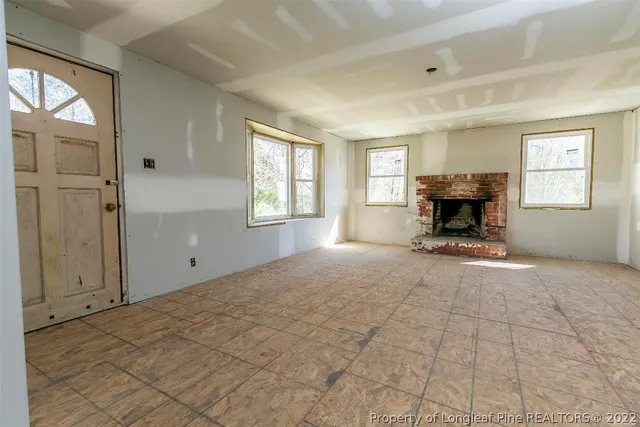 a view of a forest with a tree