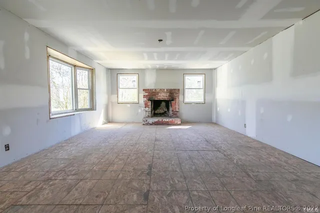 a view of a forest with a tree