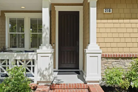 a potted plant sitting in front of a door