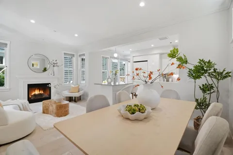 a living room with furniture potted plant and a fireplace