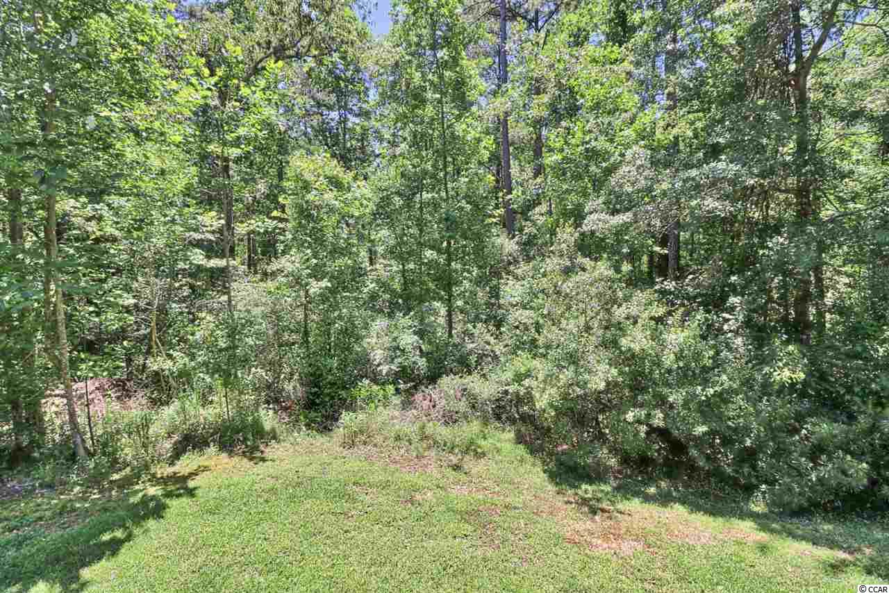 980 Nottingham Lakes Road Conway, SC 29526 - Photo 33 of 39 Gallery Image 33