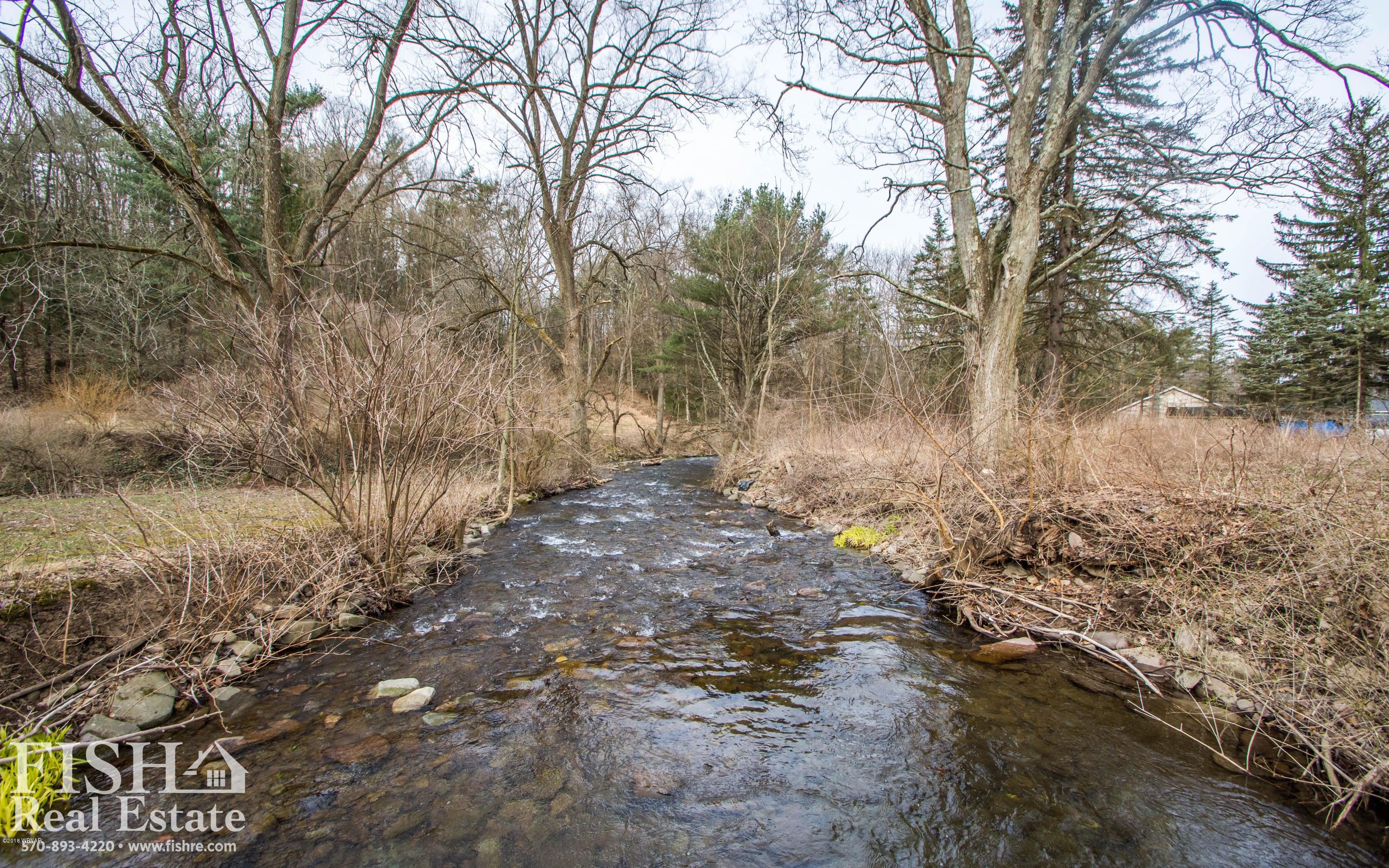 2058 Long Run Road Mill Hall, PA 17751 - Photo 18 of 20 DSC_8569
