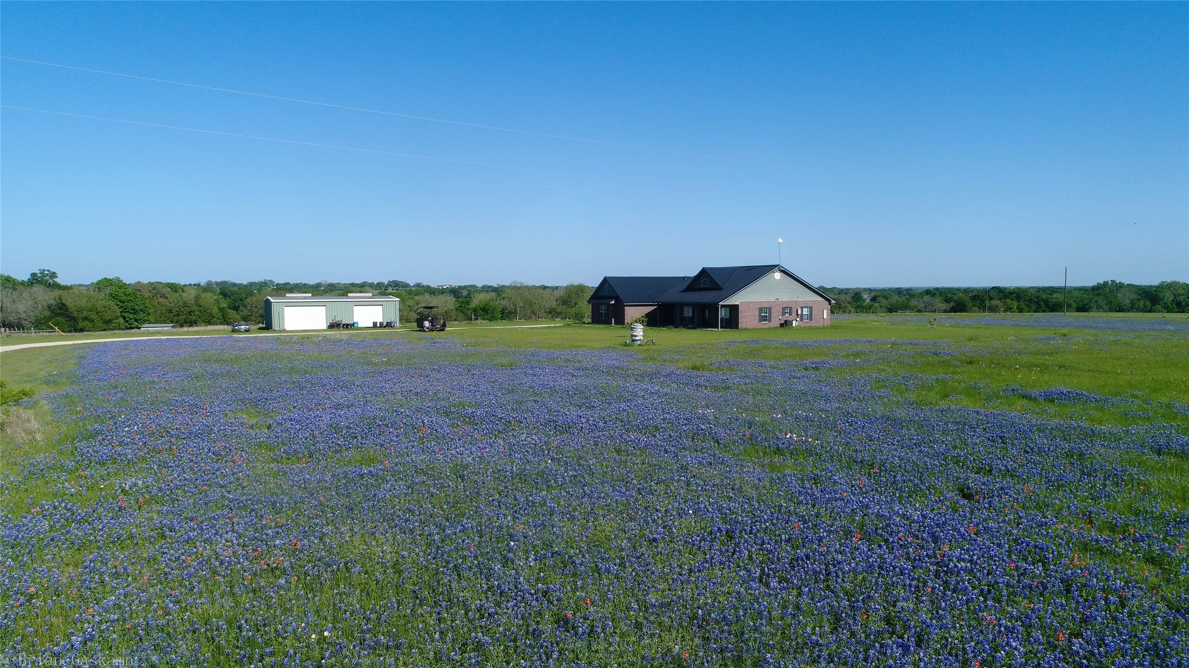 5750 Cedar Hill Road Brenham, TX 77833 - Photo 45 of 46 Gorgeous blue bonnets at end of season. This can be your next Home Sweet Home!