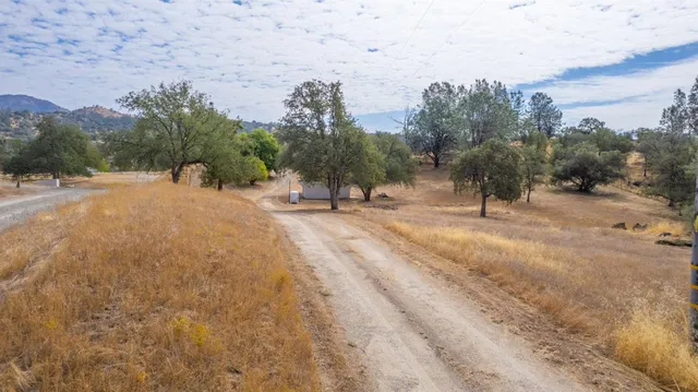 a view of road with yard and trees in the background