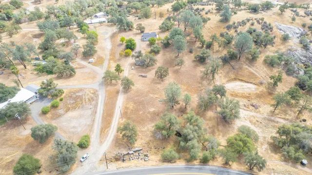 an aerial view of houses covered in trees