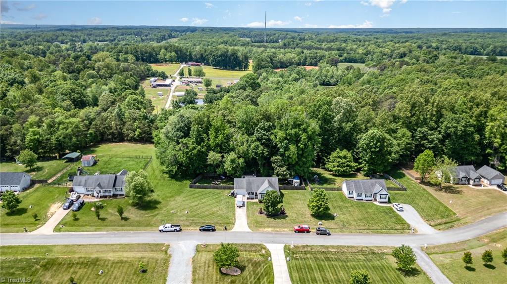5815 Huffine Ridge Drive Gibsonville, NC 27249 - Photo 22 of 26