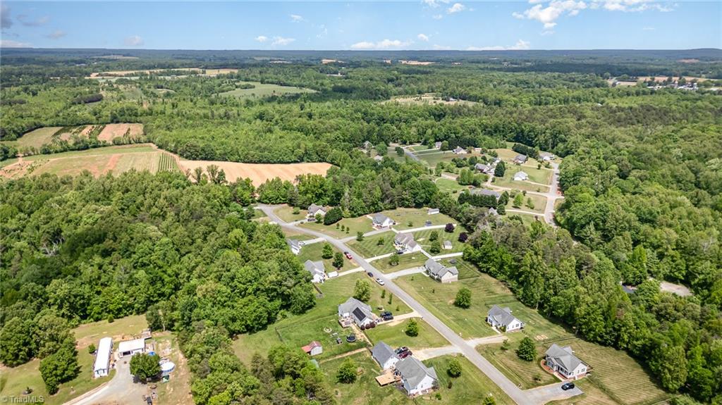 5815 Huffine Ridge Drive Gibsonville, NC 27249 - Photo 24 of 26