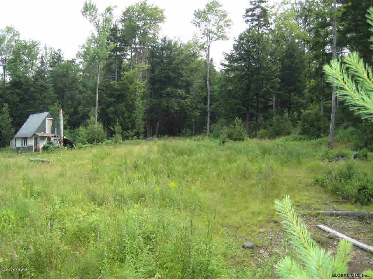 L48 Min Allen Road Hadley, NY 12835 - Photo 4 of 8 Photo 4