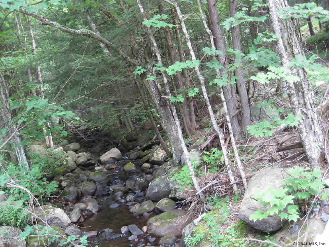 L48 Min Allen Road Hadley, NY 12835 - Photo 8 of 8 Photo 8