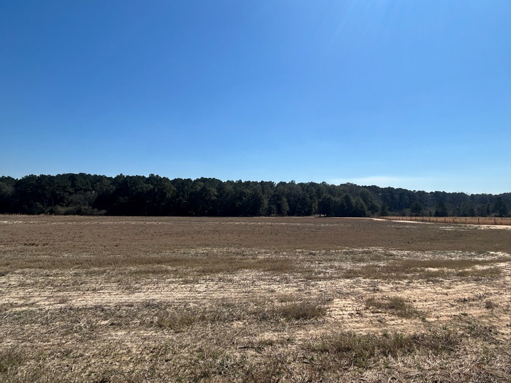 15-ac Webb Road Dothan, AL 36301 - Photo 13 of 33