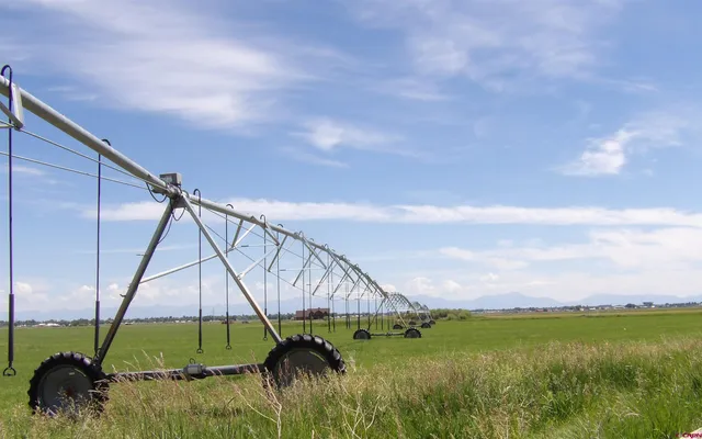 a backyard of a house with a yard and potted plants