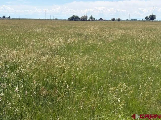 a view of an ocean from a yard