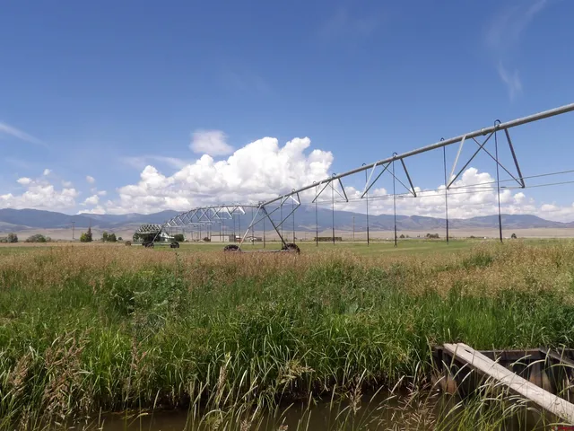 a view of a big yard